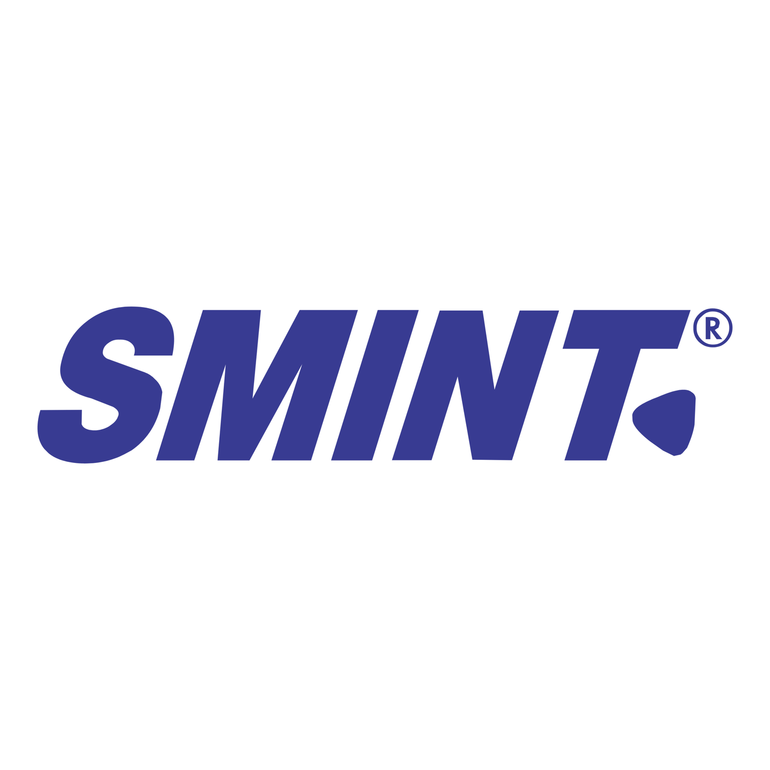 Smint logo in bold blue text on a white background.